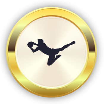 Победитель в номинации "Вратарь сезона". Первая лига, 15 сезон