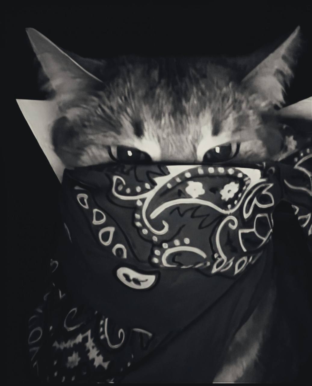 Аватар шуня